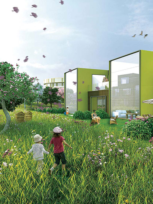 Single houses